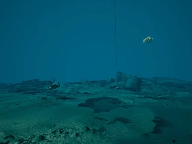 Kodas Nereus