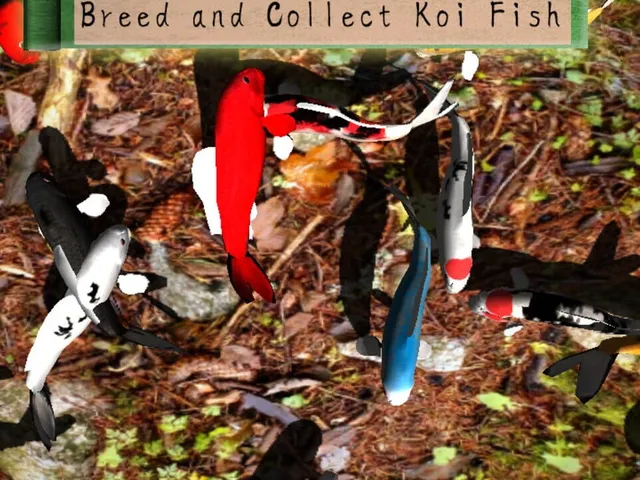 Koi Garden