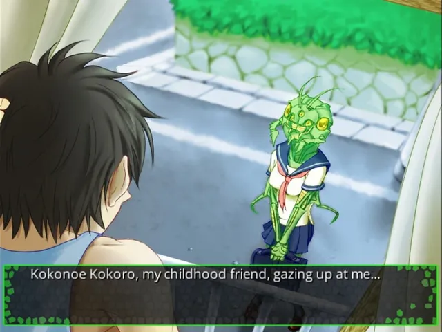 Kokonoe Kokoro