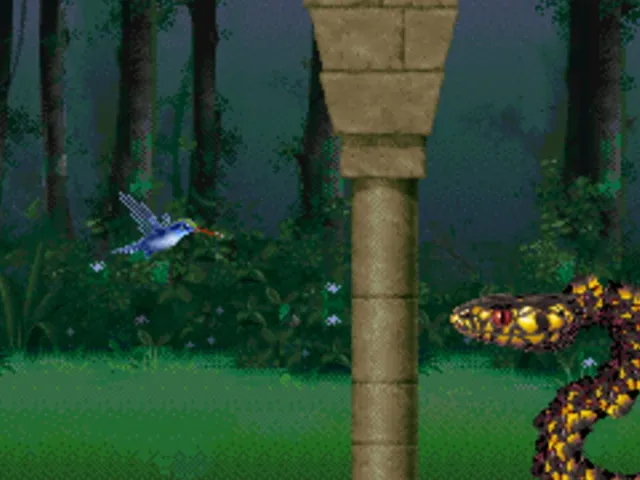 Kolibri