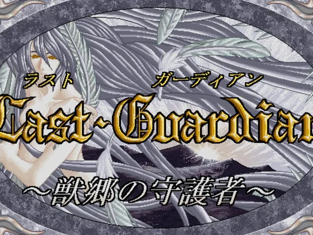 Last Guardian: Juukyou no Shugosha