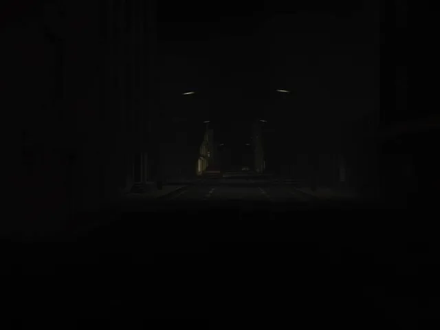 Late Night Wanderer