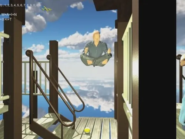 Levitation Simulator