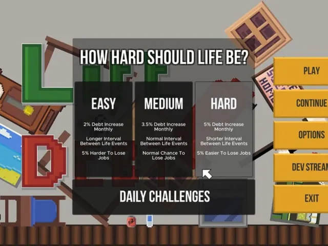 Life & Debt: A Real Life Simulator