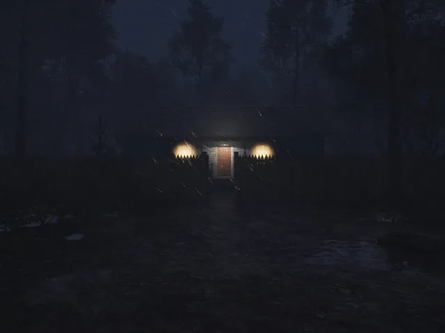 Light in the Woods