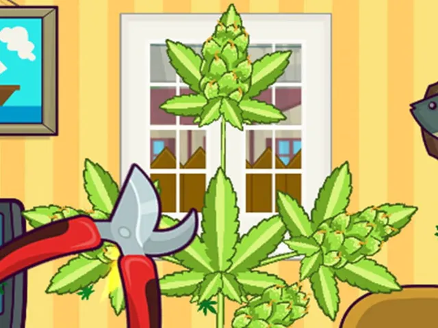 Lil Pothead