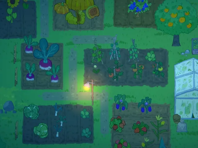 Little Adventurer Treasure Hunt