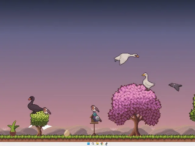 Little Aviary