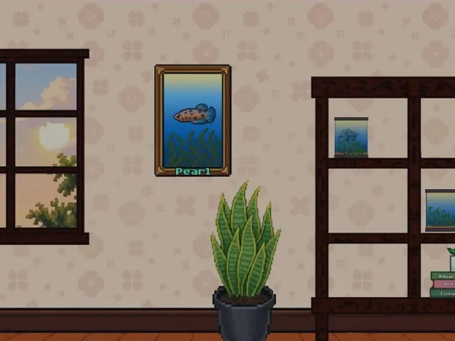 Little Bettas