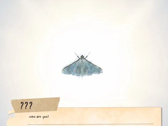 Little Blue Wings for the Blue Girl