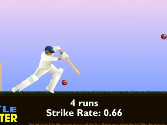Little Master Cricket