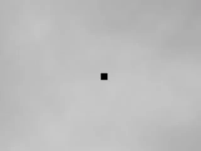 Loneliness
