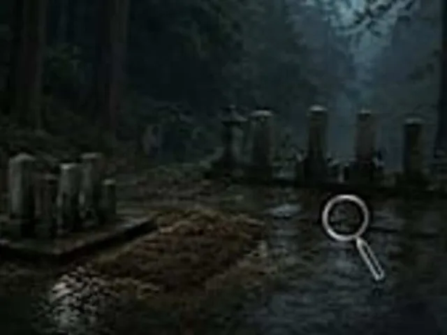 Look Closer Dark Traditions