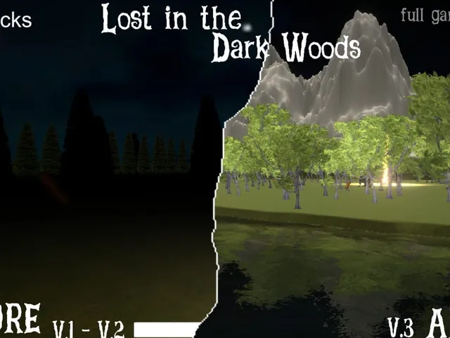 Lost in the Dark Woods