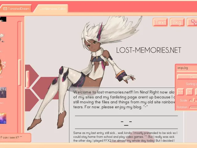 Lost Memories Dot Net
