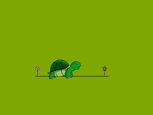 Lovely Animal Stories