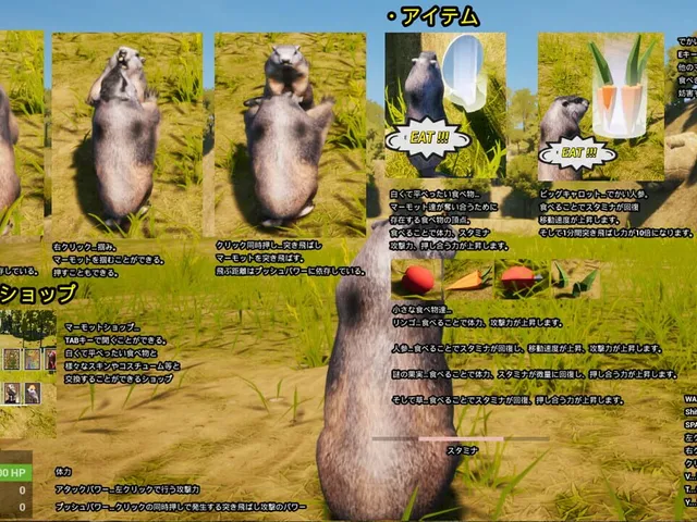 Marmot Fight Club