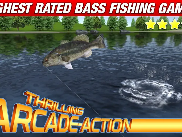 Master Bass