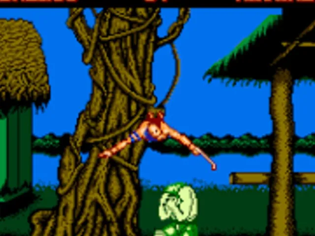 Master Fighter VI'
