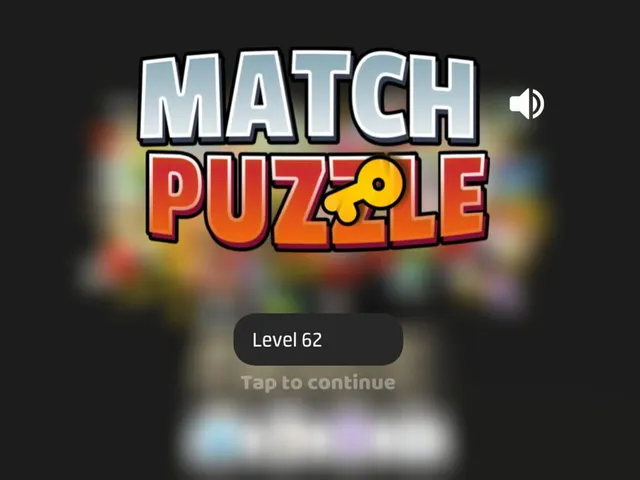 Match Puzzle