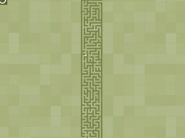 Maze!