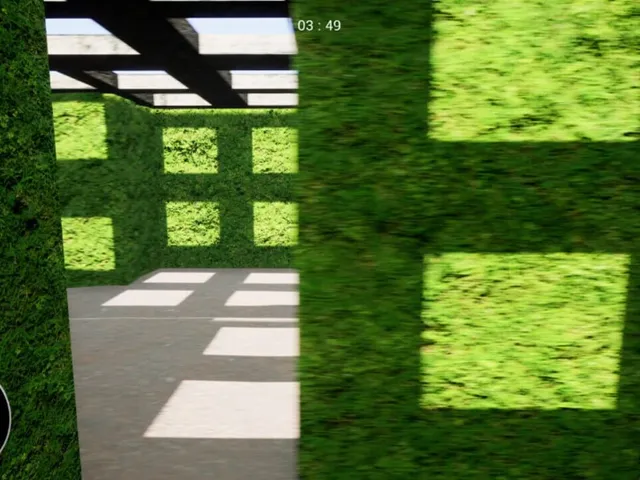Maze Nuts