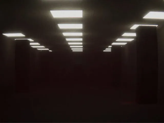 Maze of Doors