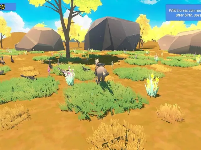Meadow Gallop