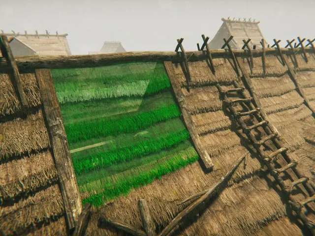 Medieval Frontiers