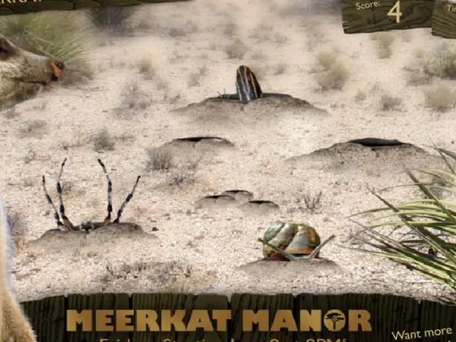 Meerkat Manor: Meerkat Grab-A-Snack