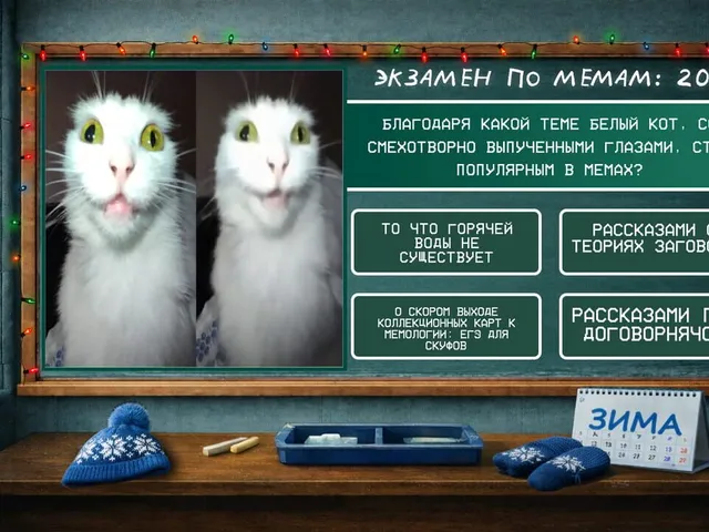 Meme Exam 2025