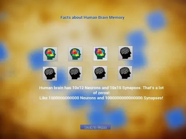 Memory Lane