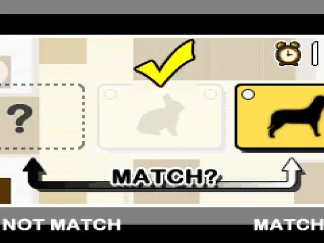 Memory Match
