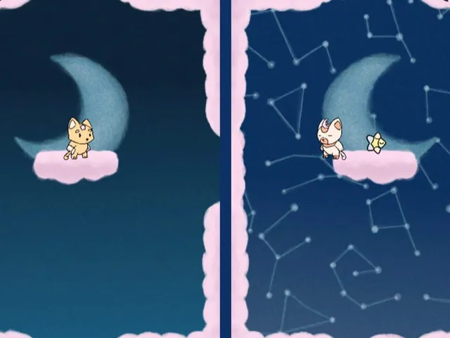 Meow Nights
