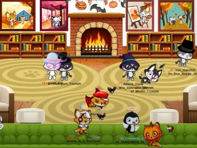 Meow Playground