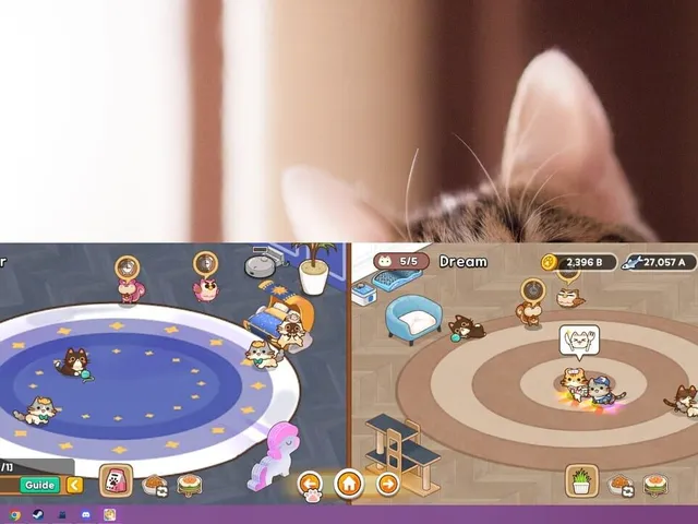 Meowniverse