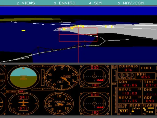 Microsoft Flight Simulator 3.0
