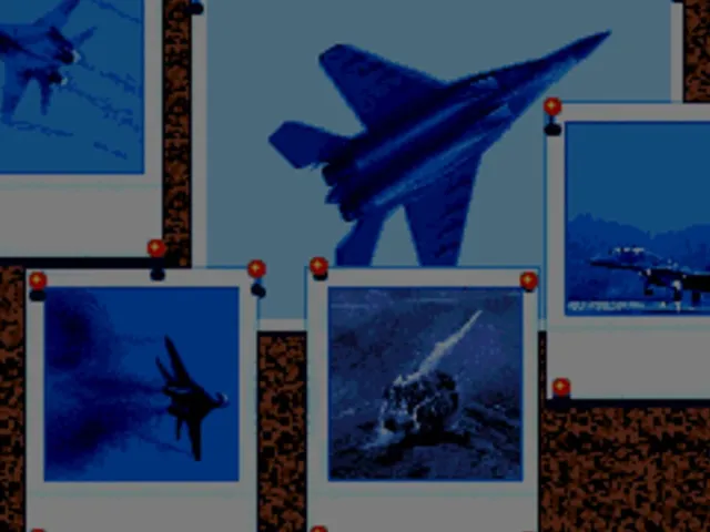 MIG-29 Fighter Pilot