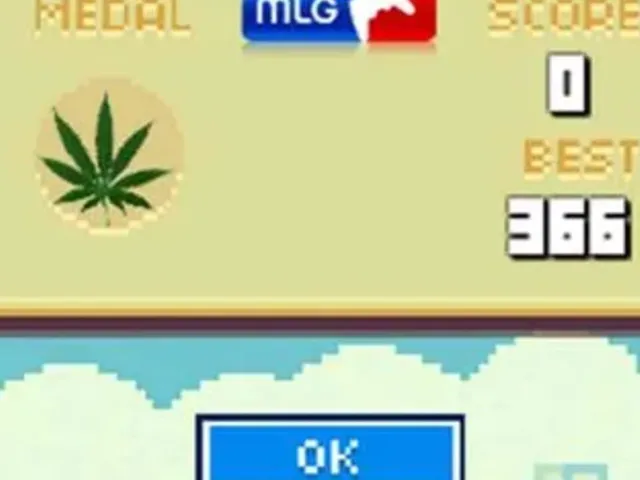 MLG Flappy Bird 420