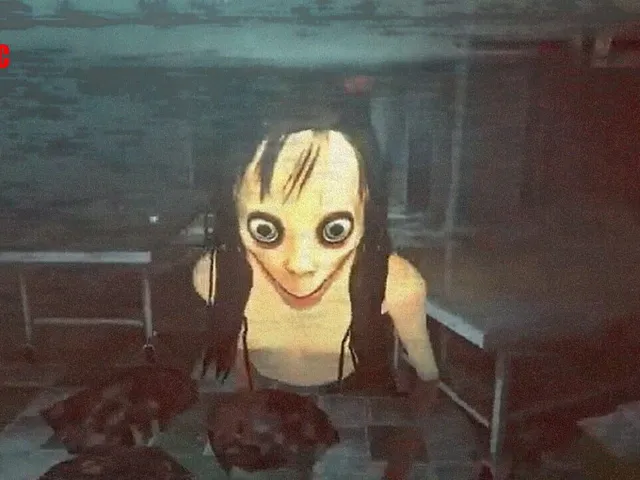 Momo is Here