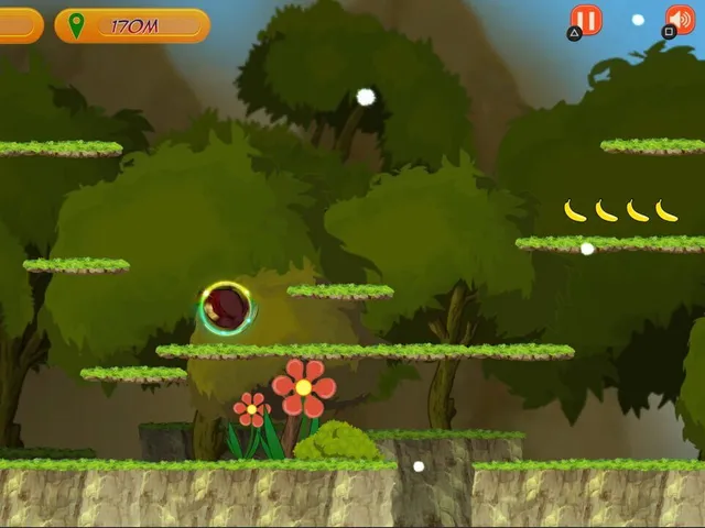 Monkey Kong