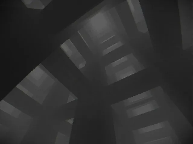 Monochrome Angel