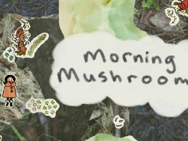 Morning Mushrooms