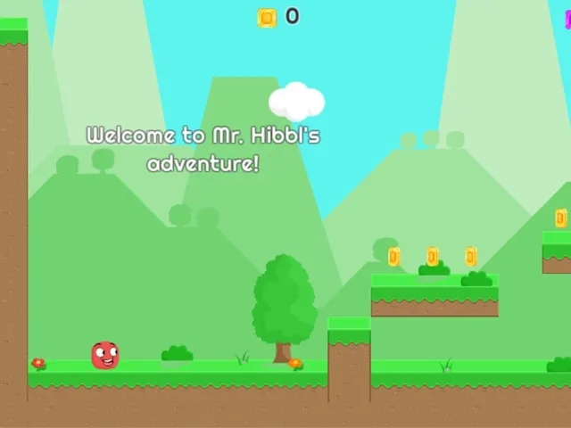 Mr. Hibbl