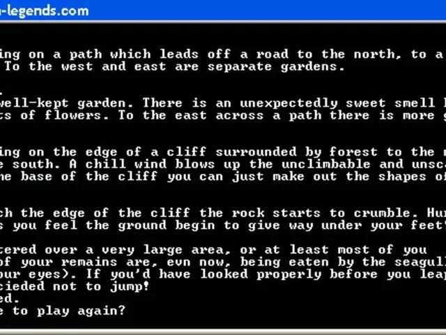 Multi-User Dungeon