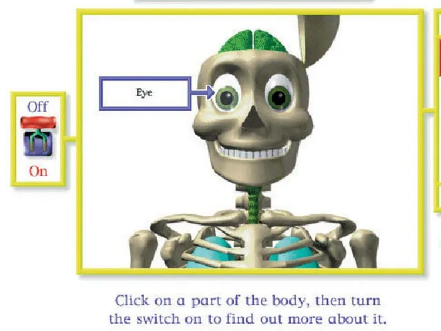 My Amazing Human Body