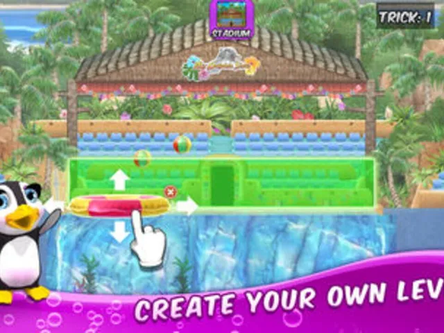 My Dolphin Show