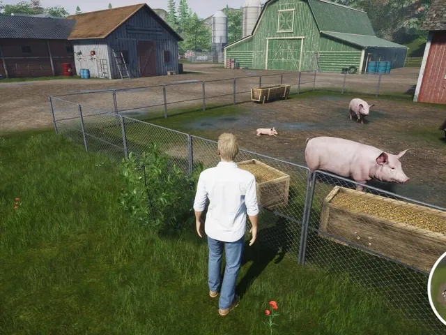 My Life: Farm Vet
