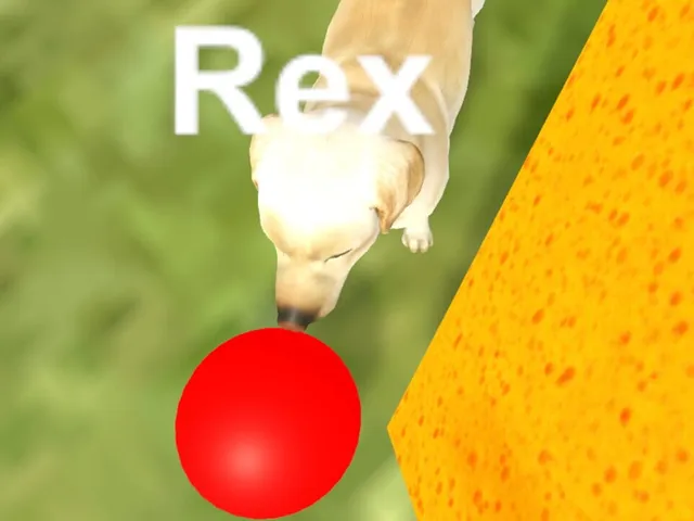 My Own Pet
