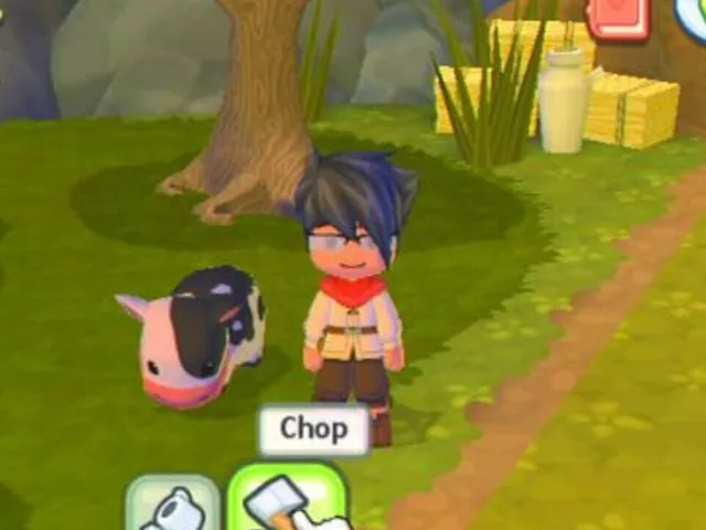 MySims Kingdom